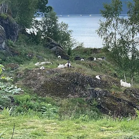 Trollheimen *