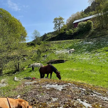 Trollheimen Hjelmeland
